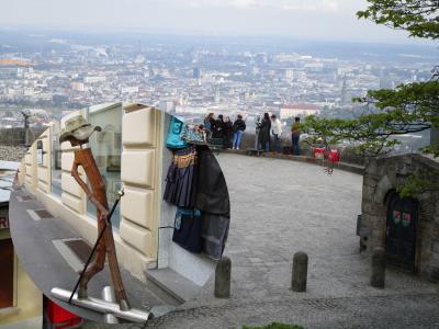 ドナウの流れで多くの音楽家を魅了したリンツ１
