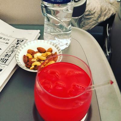 やっと乗れた！！旅行記やっと完成！！ドリームライナーシンガポール航空787-10往復ビジネスクラスで行く！シンガポール