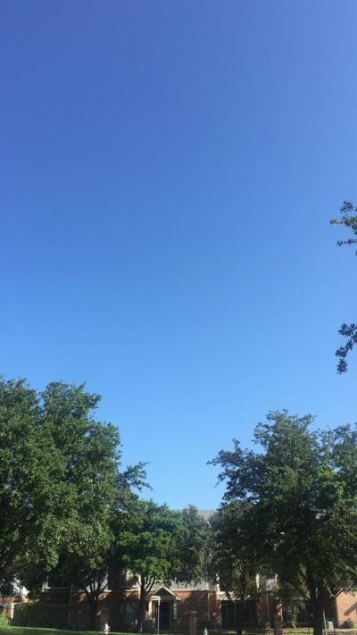 ダラス食旅。