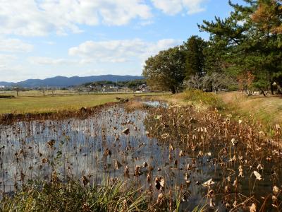 中国大返し（ちゅうごくおおがえし）の基点、備中高松城