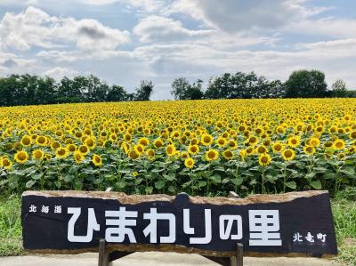 富良野日記2024-18　8月　　雨竜郡北竜町 ひまわりの里へ