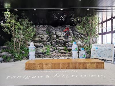 2024年12月 水上温泉「あらたし みなかみ」に泊まってきた