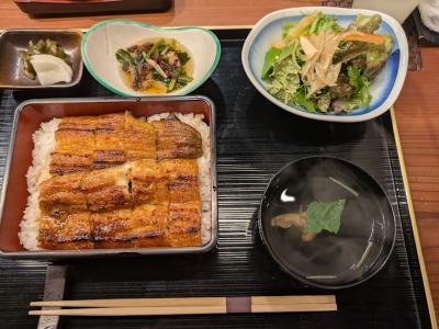 高知城と高知グルメ（チキン、カツオ、ウナギ）を満喫する１泊２日の旅③