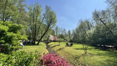 アルゼンチン親族がやって来た