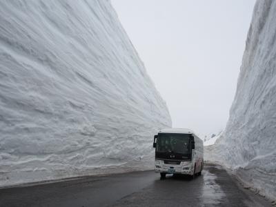 立山黒部アルペンルート！雪壁の最高地点１６ｍの雪の大谷を観に行ってきました
