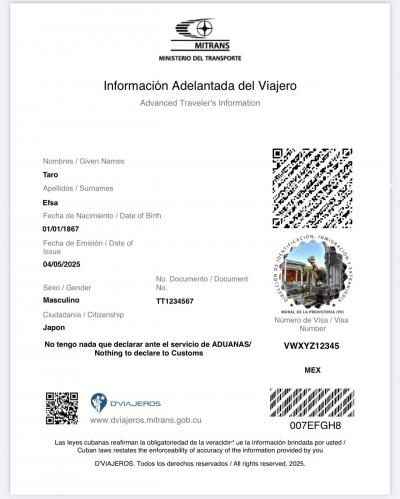 ① e-VISA (電子ビザ) の画面<br /><br />※ 個人情報が含まれるためQRコード等は加工済み