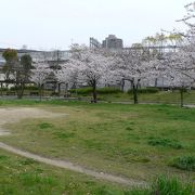 毛馬桜之宮公園にはJR桜ノ宮駅が近い