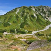 登山かキャンプ以外の人には過酷かと・・・。