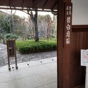 松に雪吊りも取り付けられていて兼六園に居るよう