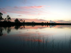 南フロリダ大自然ツアー(?!) 4 Everglades National Park 1