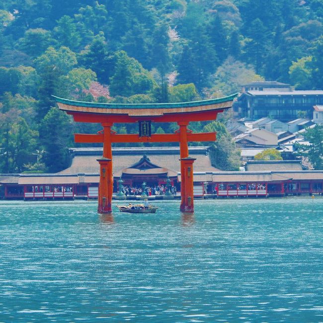 宮島に行きたい!<br />ずっと思っていた。<br />とは言っても、過去に3~4回来た事があるけど。<br />でも何度も来たくなる場所。<br />前回来た時宮島に宿泊し、とーっても良かった。<br />何が良かったか。<br /><br />1.人がいない厳島神社で参拝できる。<br />朝6時半から参拝できますが、まだフェリーが動いていない時間なので、宮島宿泊者の特権。<br />静かで荘厳な中でお参り出来ます。<br /><br />2.夜の美しい景色が見れる<br />満潮時には水面に映る厳島神社が見れてとても綺麗<br /><br />3.たまたまイベントをやっていた<br />たまたま翌日イベントがあるらしく素晴らしい体験が出来た。<br />(夜、歩いていたらどこかでカラオケ大会をやっている。めっちゃ歌上手いなぁ~、浪漫飛行かぁ、と思ったら、なんと石井竜也さんが歌ってた!カラオケ大会では無くリハーサルでした!<br />雅楽奏者の東儀秀樹さん、バイオリニストの方もいらっしゃり、東儀秀樹さんの雅楽の音色を厳島神社で聞き心震える程感動しました。)<br /><br />それに大好きな牡蠣も私を待っているー!<br /><br />という事で行ってまいりました!<br /><br />しかし、出発2日前に食あたりになり、治らないままフラフラで広島に行く事になり、<br />途中は来た事を後悔する程の腹痛に見舞われました。<br /><br />もう大阪に帰れないかも…<br />という激痛を乗り越え、予定をかなり早めて帰路に着きましたが、それでも素敵な旅だった、と思えるほど宮島が好きです。<br /><br />そんな私の悶絶の旅。