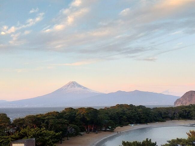今年最初の愛犬を連れてのドライブ旅に行って来ました。<br /><br /> 1/28 千葉→伊豆泊<br /> 1/29 伊豆泊<br /> 1/30 伊豆→千葉<br /><br /><宿泊> 貸別荘<br />計2泊 ¥20,000-(CP等¥26,800分利用)<br />※ペット料金なし
