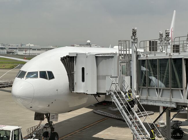 2024年7月2日からタイを旅行(ティアオ)しています。<br /><br />今の職場で働いて4年目。<br /><br />初めは社員として働いていましたがメリットを感じられず2年ほど前から夜勤専属のパートで勤務することにしました。<br /><br />6月になって職場の所長から呼び出され面談。<br /><br />なぜかあらぬ疑いをかけられて夜勤ができなくなり日勤帯で働く羽目に。<br /><br />疑いをかけられたところで何もしていないため、いつもどおり仕事していました。<br /><br />しかし7月も日勤帯で勤務するようにと仕事ぶりを見ていない所長は言っているらしい。<br /><br />現場のリーダーは問題ないと判断して夜勤に戻すよう伝えても聞き入れてもらえず。<br /><br />しかもリーダーを通して聞いただけで所長から直接の話は一切なし。<br /><br />所長は職場に配属されて1年ほど。<br /><br />配属された当初から自分の意見は絶対だと思っているらしく職員の話を聞かない最低な女(イン)です。<br /><br />辞めることも考えましたが有給を取りやすい職場はそうそうないため思い止まりました。<br /><br />バカバカしくなり20日間ほど休むことに。<br /><br />本来ならば秋に予定していましたが気晴らしでティアオタイへ。<br /><br />今回はツアーでしか訪れたことのない観光地(レントンティアオ)を楽しみ(サヌックサナーン)たいと思います。<br /><br />Instagram<br />https://www.instagram.com/yashichi0710/