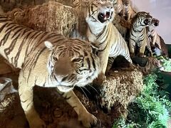 孫連れてゴルフ場の温泉ホテルに2泊3日
