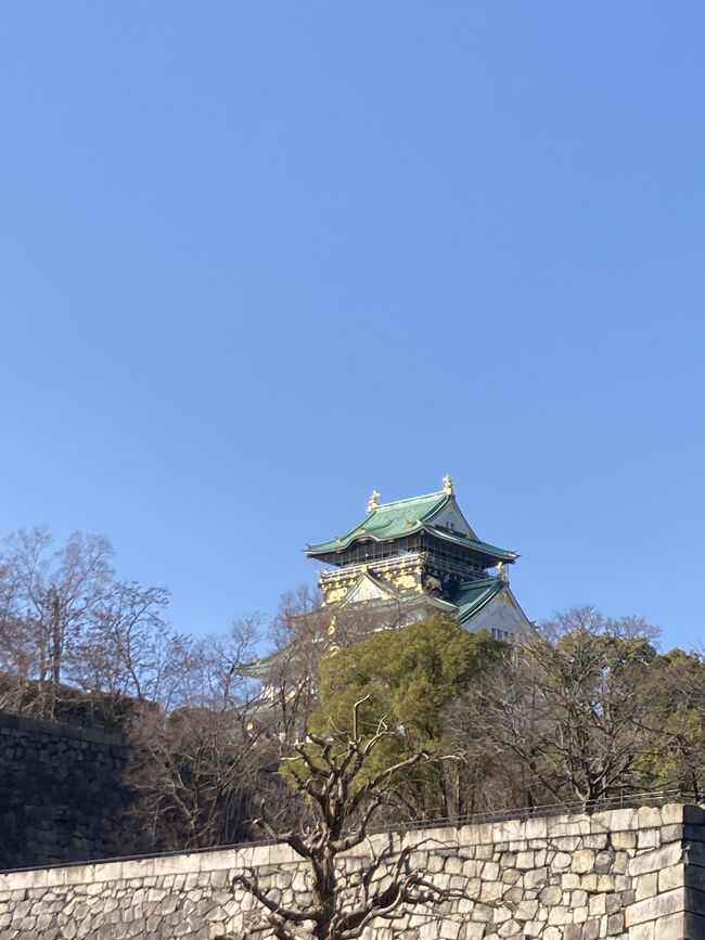 地味に貯めているWESTERポイントの失効期限が近くなっていました。<br /><br />ポイントが少額なので最悪お店で使って消化という選択肢もありますが、ここは旅好き!!<br /><br />WESTERポイント980P+19,800円でJR西日本の新幹線、特急、在来線2日間乗り放題チケットで旅することにしました。<br /><br /><br />当初は1泊2日で予定していましたが、せっかくなら乗り倒したい!!と思い、日帰りに変更して、このチケットを使い倒すことに!!<br /><br /><br />決して乗り鉄ではないぴぴまるが、ルールや時間を駆使し、たくさんの電車に乗ることに♪<br /><br /><br />・新幹線(のぞみ、みずほ、さくら)<br />・特急(まほろば、サンダーバード)<br /><br /><br />に乗りました!!<br /><br /><br />途中、コレなんの修行?と思うこともありましたが、楽しい旅になりました。<br /><br /><br />日帰りアリです。<br /><br /><br />【旅程】<br /><br />2/15 新幹線のぞみ号→新大阪へ。<br /> 大阪城公園駅へ。大阪城公園散策。<br /> 地下鉄1日乗車券で西梅田へ。<br /> ダル食堂でマウンテンカレーのランチ♪<br /> 地下鉄1日乗車券で心斎橋へ。<br /> 大丸心斎橋店でお買物。<br /> 地下鉄1日乗車券で梅田へ。梅阪を散策~。<br /> 新幹線駅構内のだるまで一杯♪<br /> 新幹線みずほ号→帰宅。<br /><br />2/16 新幹線さくら号→新大阪へ。<br /> 特急まほろば号→奈良駅着。<br /> 奈良公園散策~。<br /> JR奈良駅(新快速)→東福寺下車。<br /> (京阪に乗り換え)東福寺→三条へ。<br /> 鴨川散策、お腹空いて回転寿司のむさしで中食。<br /> 地下鉄三条京阪→京都。<br /> 京都伊勢丹散策。<br /> 京都発特急サンダーバード→大阪下車<br /> 梅阪でお買物<br /> 大阪→新大阪。<br /> 新大阪発新幹線みずほ号で帰宅。<br /><br /><br />【タビのメモ】<br />・JR西日本2日間乗り放題チケット:WESTERポイント980P+19,800円<br />・乗り放題チケットのルール:<br /> 2日間有効。指定席6回まで指定可能。<br /> 28回まで変更可能(発券前まで)<br />・大阪メトロ1日乗車券:620円<br />・京阪、京都地下鉄料金未確認<br />