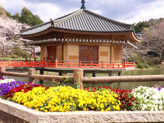 あをによし奈良の都のさくらwith世界遺産②金峰山寺、談山神社、安倍文殊院他
