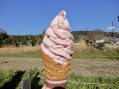 　　　アスカルビー果肉ソフト　500円

　　　苺とバニラソフトが一緒にブレンダーマシンに投入され
　　　その中でまぜまぜ　→  アスカルビー果肉ソフトの誕生
　　
　　　うんま(*'▽'*)うんまー
