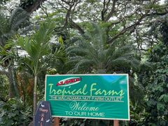 「トロピカルファーム・マカダミアナッツアウトレット＝THE MACADAMIA NUT FARM OUTLE」
※オアフ島で唯一のマカダミアナッツ加工工場に併設されているお店だそうです。

ハロウィン仕様にデコレーションされています。