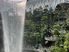  ターミナルを移動するトラムはジュエルの中を通るんですよね
ディズニーランド気分