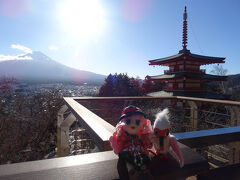 ワタシ達も一緒に写真を撮ろうネ♪
今回はせっかく元日なんだし、
ワタシとトキちゃんの"紅白コンビ"！

どう？　吟ちゃん。
バッチリ富士山と撮れているよネ？