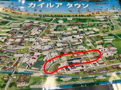 適当に歩きながら散策しました
とある雑貨屋の店員さんいわく、このヘキリ・ストリートが小さいお店が並んでるところで歩くとちょっと楽しいとのこと！

周りの道も含めていろんなお店があって楽しかったです&#9786;️
crazy shirtカイルア店で両親へのお土産Tシャツを買いました