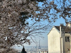 上がってくると達成感。手前に桜、遠くエッフェルタワー、春ですね～。
