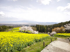 白木峰高原